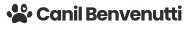 canilchihuahuabenvenutti.com.br