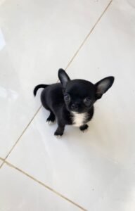 WhatsApp Image 2026-01-08 at 13.19.03