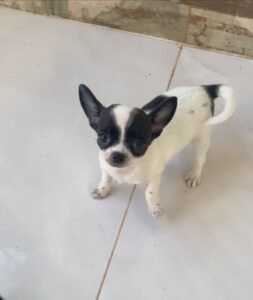 WhatsApp Image 2026-01-08 at 13.20.06