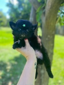 WhatsApp Image 2026-01-08 at 13.20.49 (1)